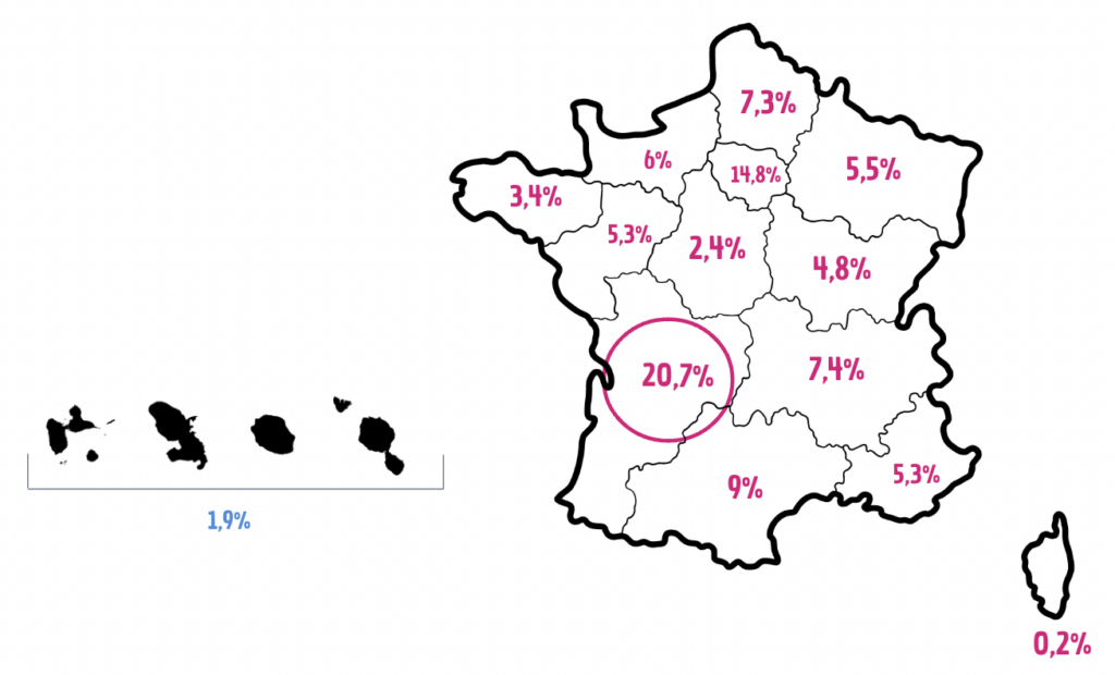 Nombre de Digital Cleanup par région en France
