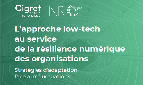 Rapport L’approche low-tech au service de la résilience numérique des organisations
